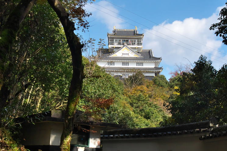 岐阜城 岐阜公園 の紅葉