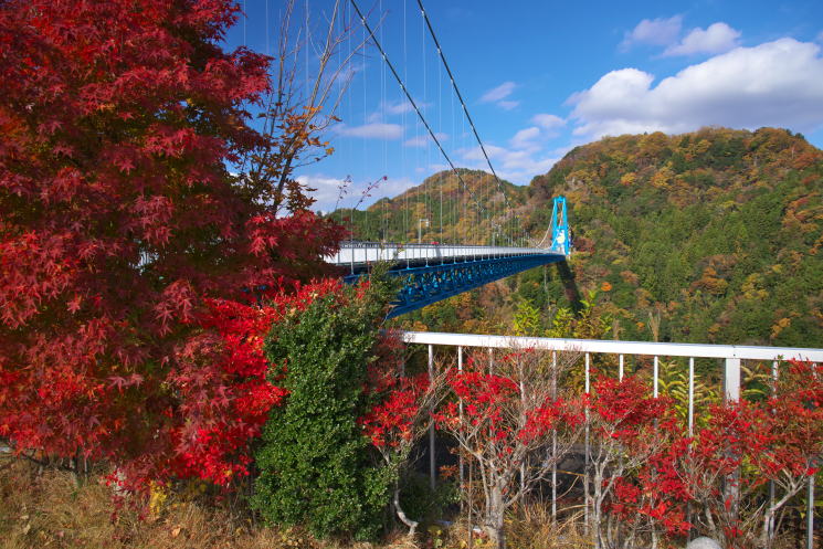 竜神大吊橋の紅葉