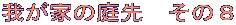 我が家の庭先 その8