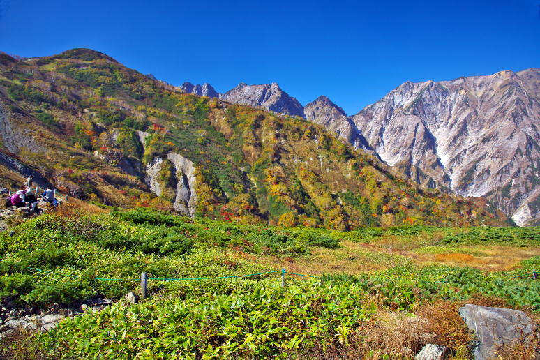 白馬八方池の紅葉