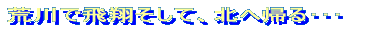 荒川で飛翔そして、北へ帰る・・・