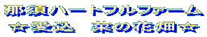 那須ハートフルファーム ☆愛込 菜の花畑☆