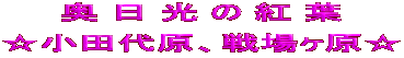 奥 日 光 の 紅 葉 ☆小田代原、戦場ヶ原☆